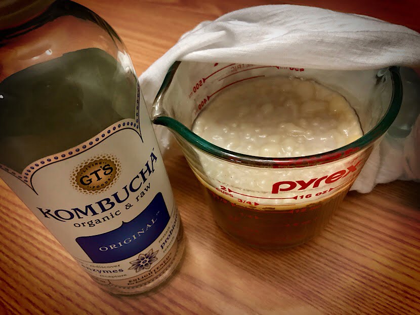 scoby making