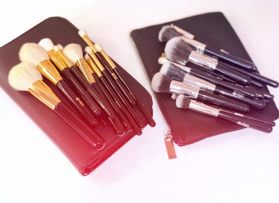 Feiyan makeup brushes